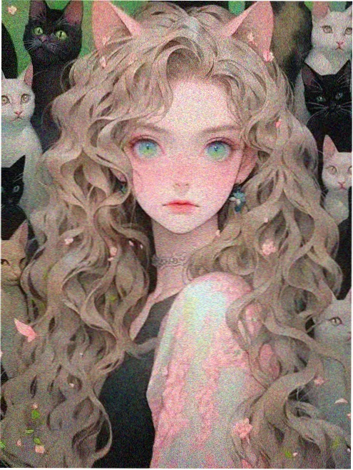 十二月的信号弹欧美电影在线观看